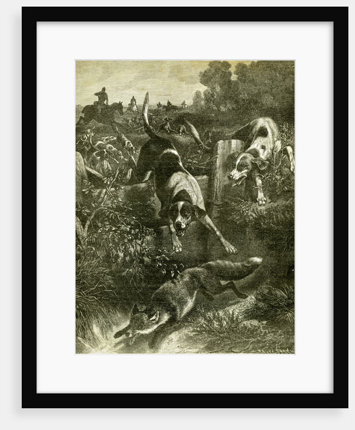 Hunt Austria Fox 1891 by Anonymous