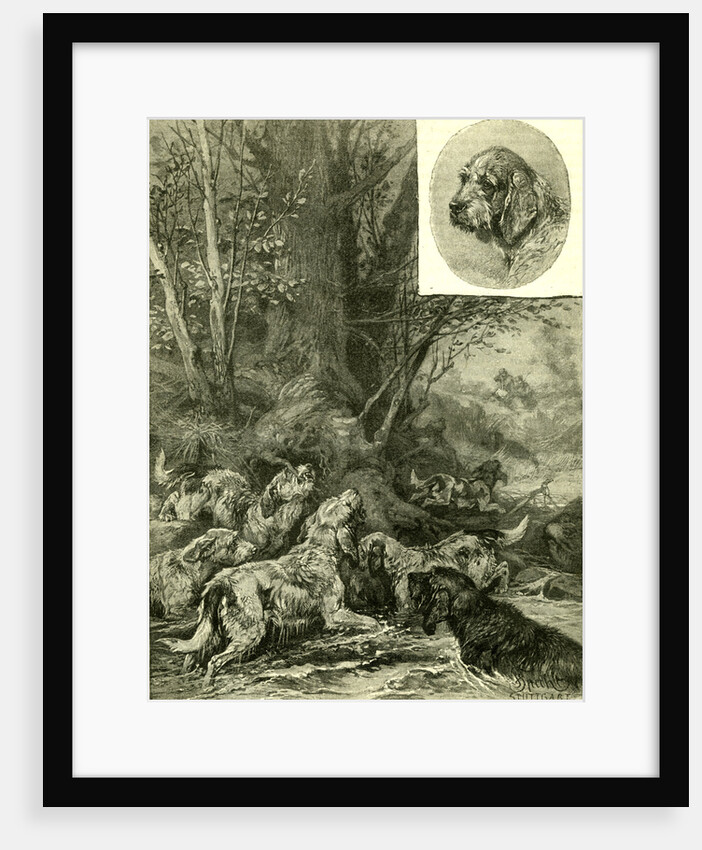 Dogs Hunting Austria 1891 by Anonymous