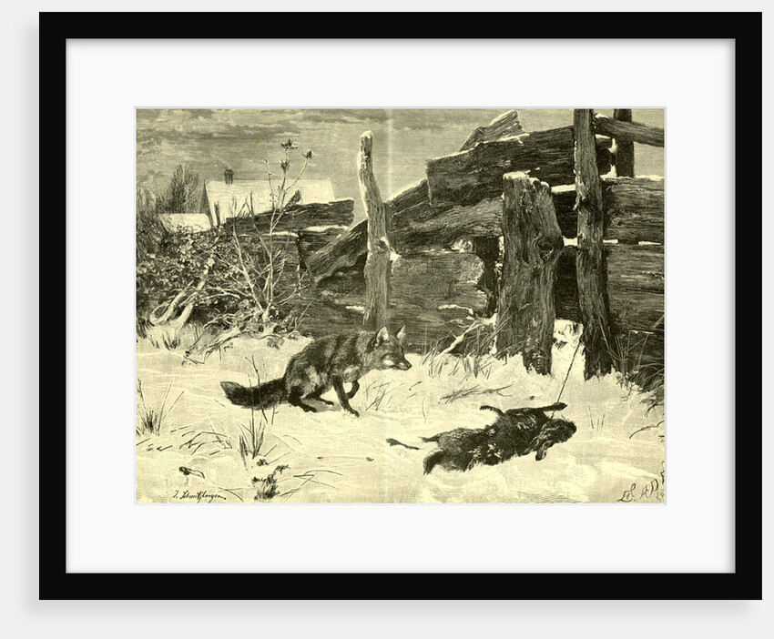 Fox Hunt Austria 1891 by Anonymous