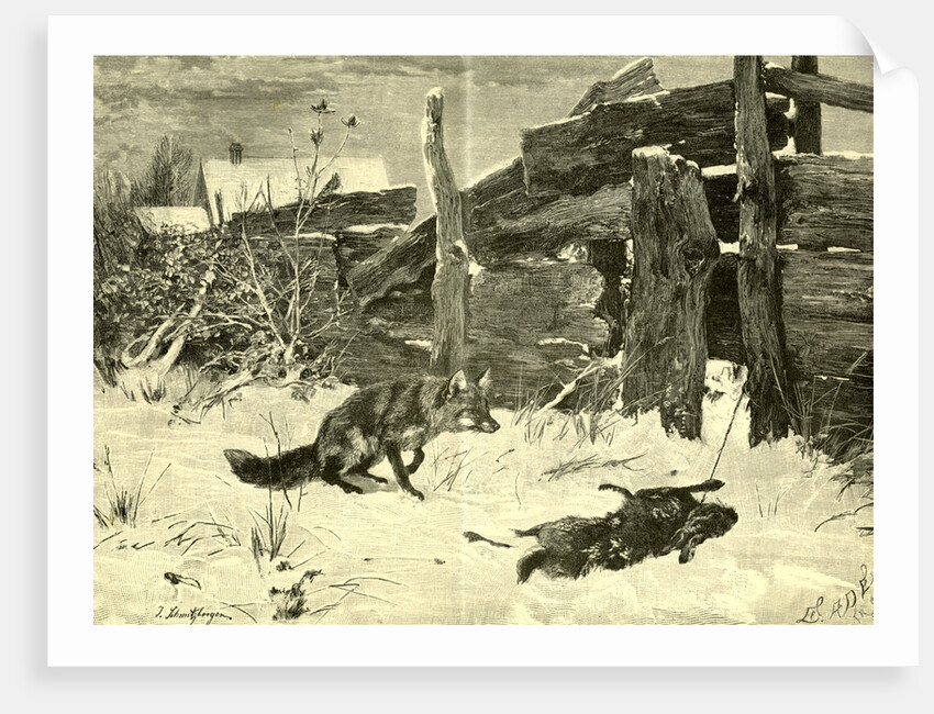 Fox Hunt Austria 1891 by Anonymous