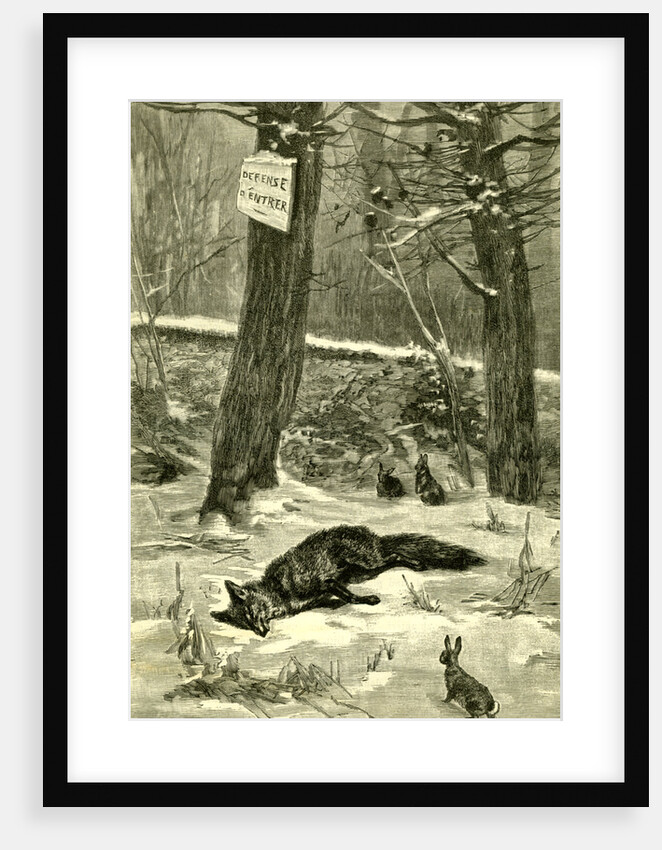 Hunting Fox Austria 1891 by Anonymous