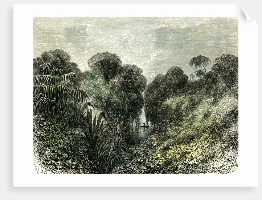 Sarayacu River Peru 1869 by Anonymous