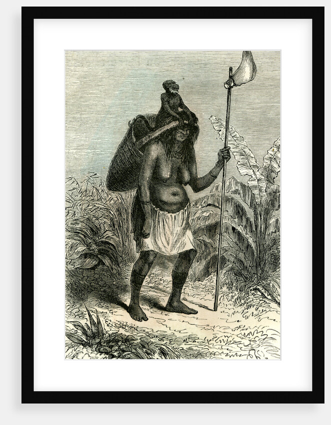Plantation Peru 1869 by Anonymous