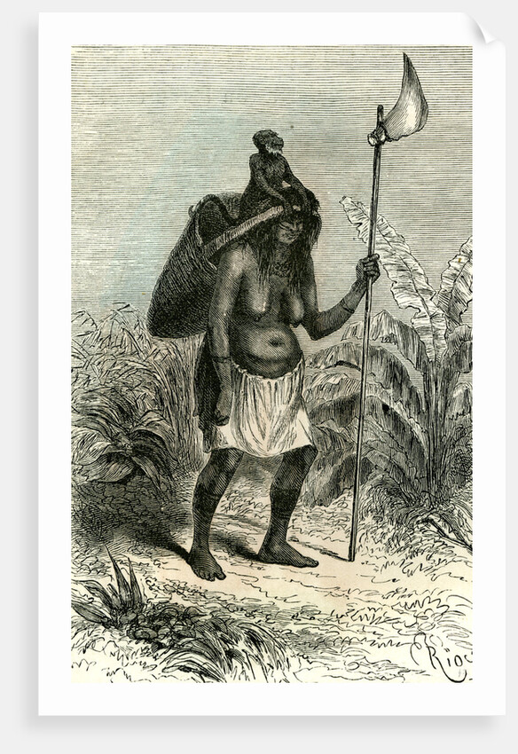 Plantation Peru 1869 by Anonymous