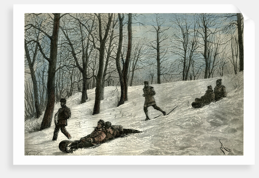 Mont Royal Canada 19th Century by Anonymous