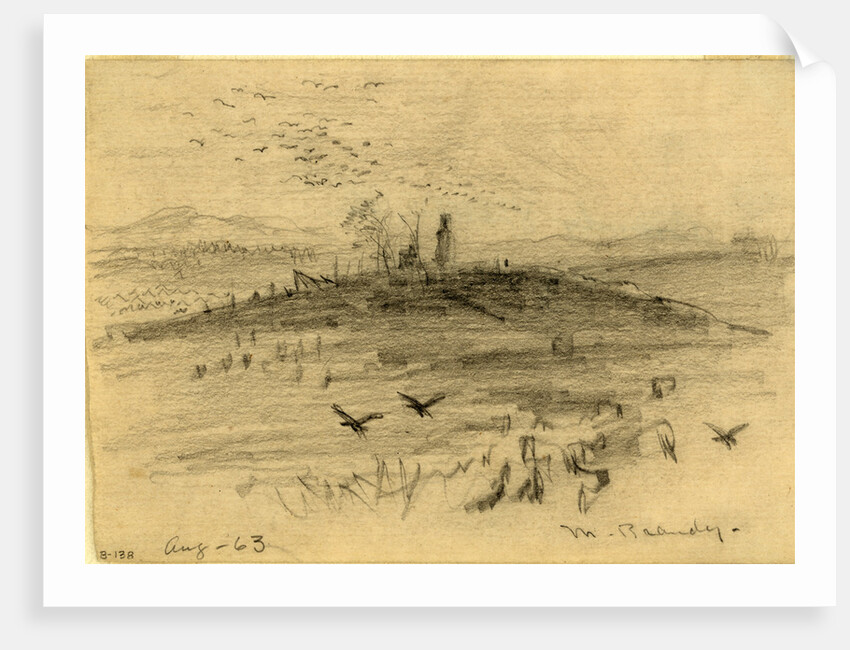 Nr. Brandy by Anonymous