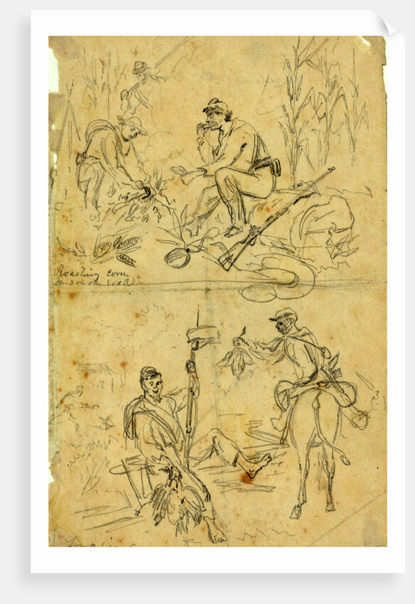 Scenes on the road, roasting corn and foraging by Alfred R Waud