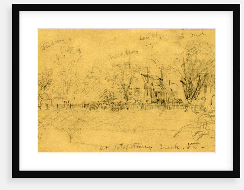 At Totopotomay Creek, Va. by Alfred R Waud