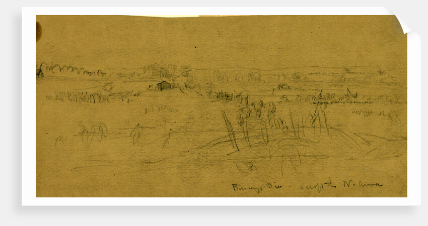 Birney's Div. across the N. Anna by Alfred R Waud