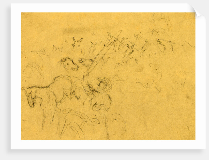 Horses being herded by Alfred R Waud