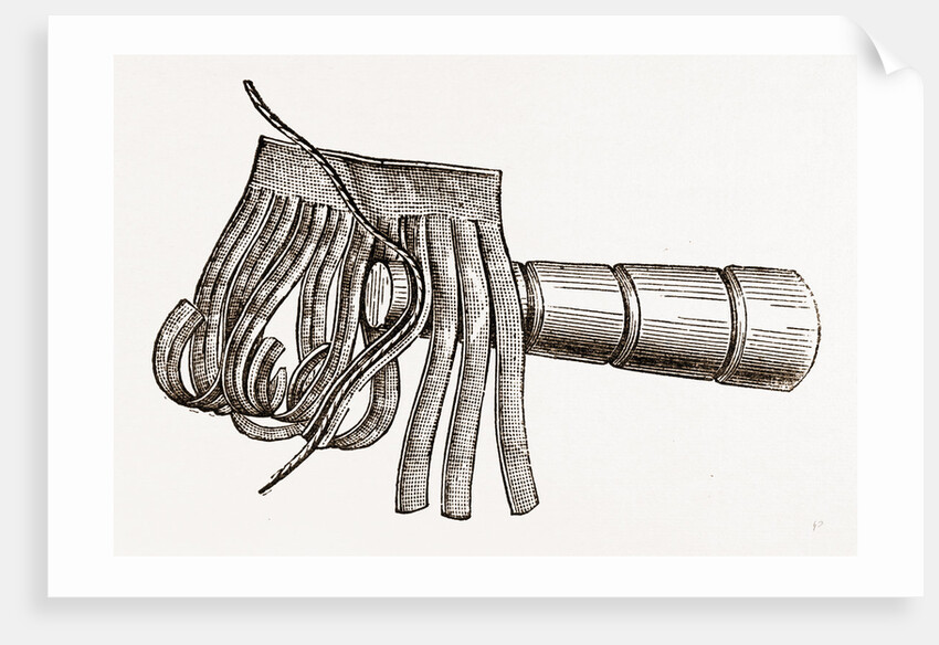 Detail Of Feather by Anonymous