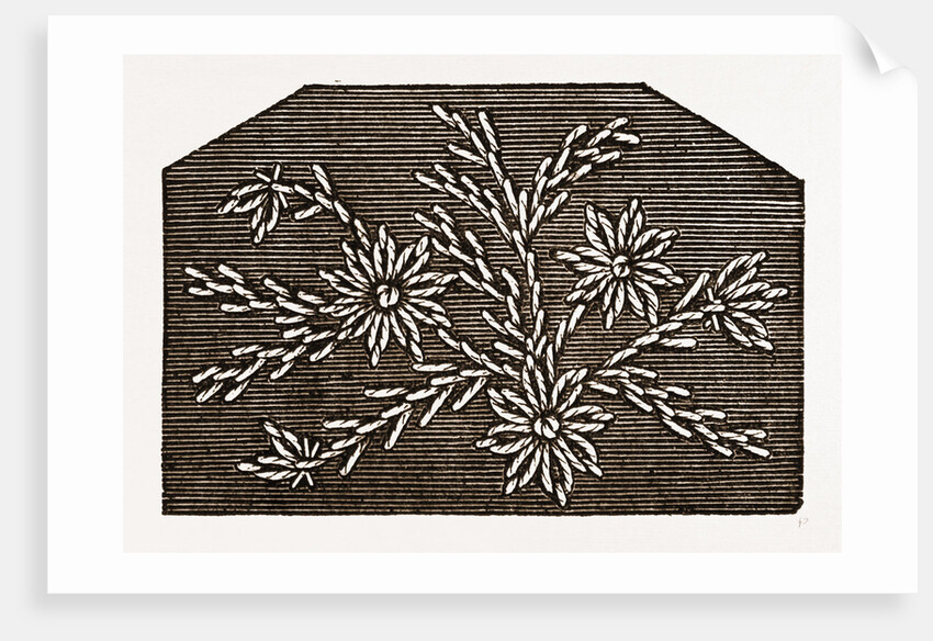Needlework by Anonymous