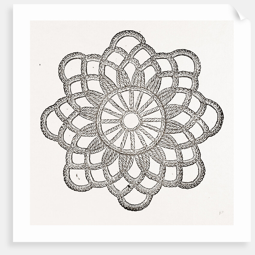 Rosette by Anonymous
