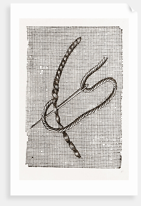 Needlework by Anonymous