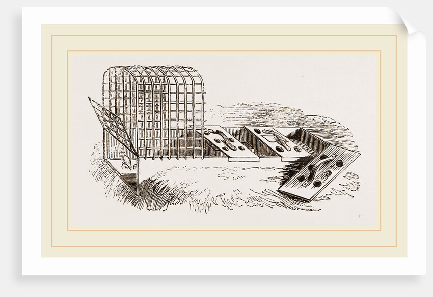 Improved Artificial Mother by Anonymous