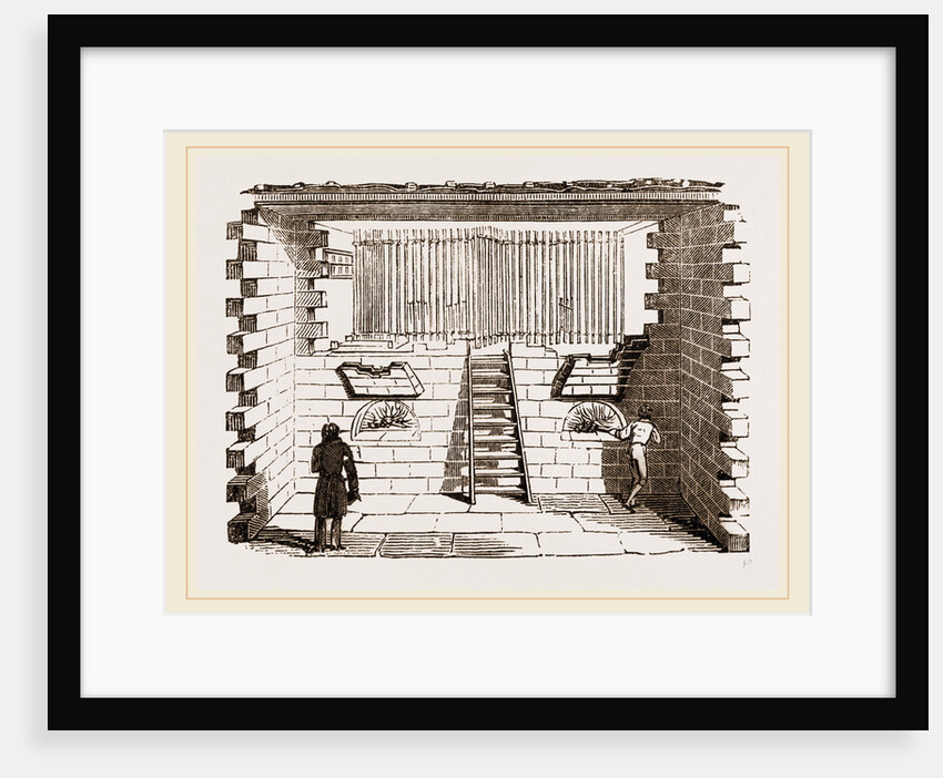 Hatching-room at Paris by Anonymous