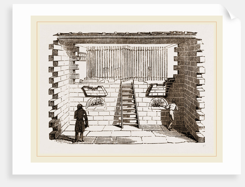 Hatching-room at Paris by Anonymous