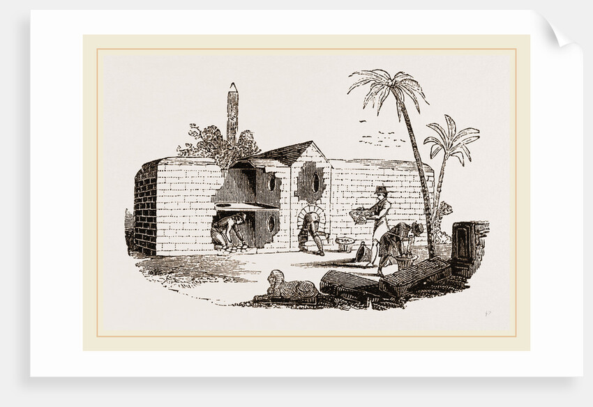 Egyptian Egg-Oven by Anonymous