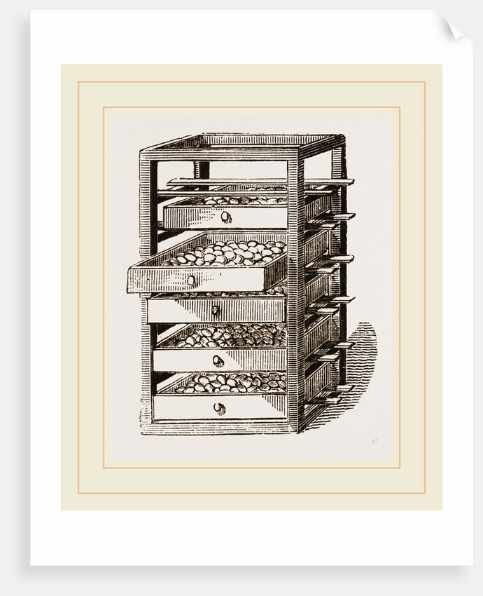 Egg-Frame by Anonymous