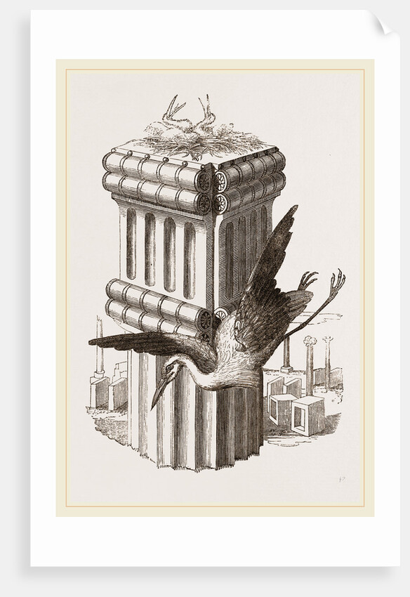 Stork's Nest at Persepolis, Iran by Anonymous