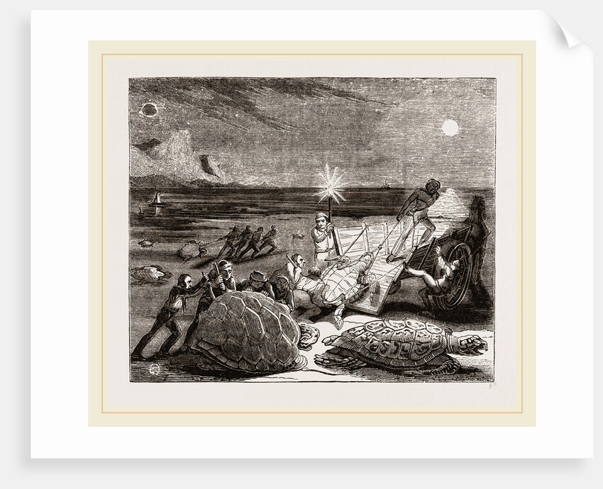 Catching Turtles on the Coast of Cuba by Anonymous