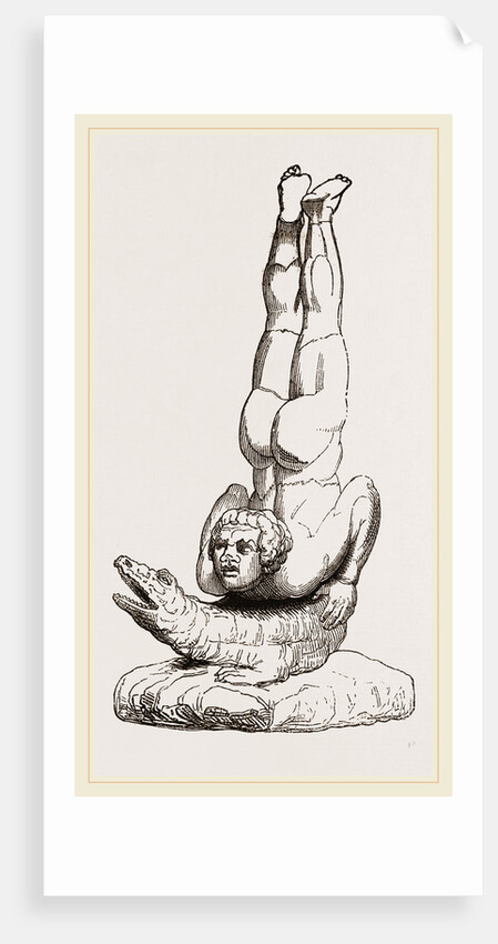 Egyptian Tumbler on Crocodile, Egypt by Anonymous