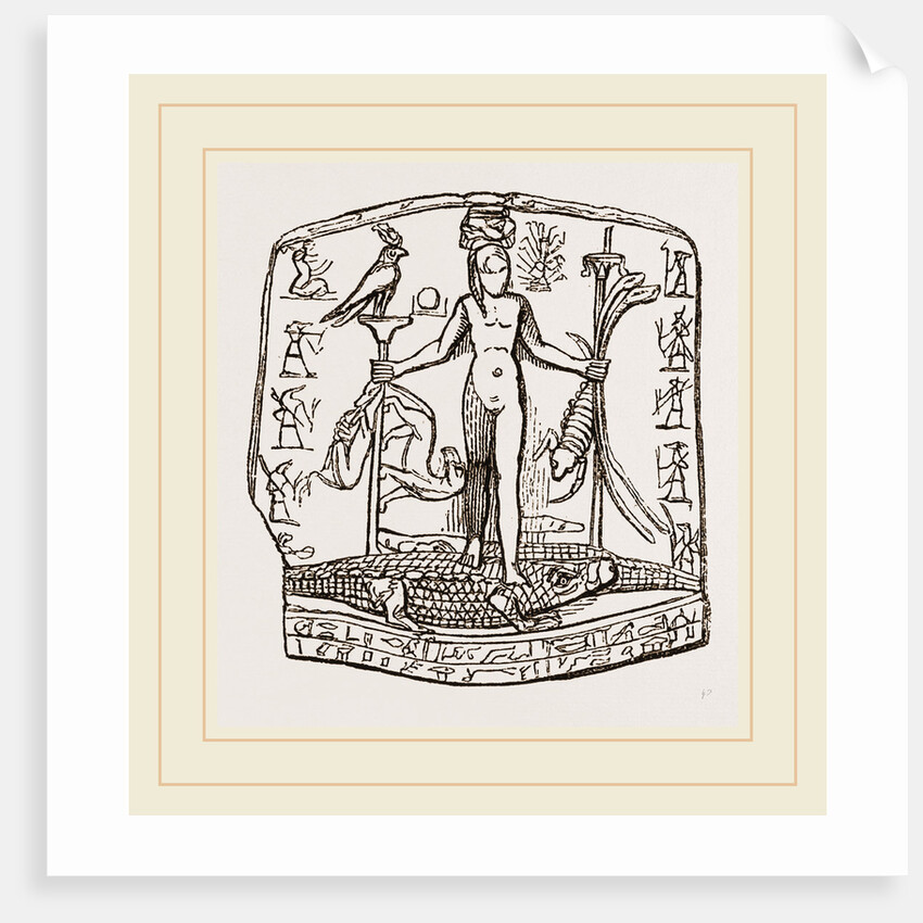 From Egyptian Antiquities, Egypt by Anonymous