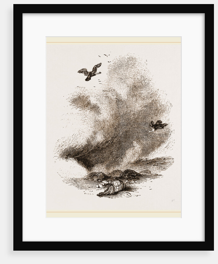 Griffon Vultures by Anonymous
