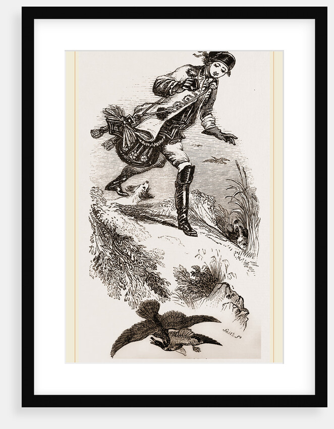 Hawking for Wild-Ducks by Anonymous