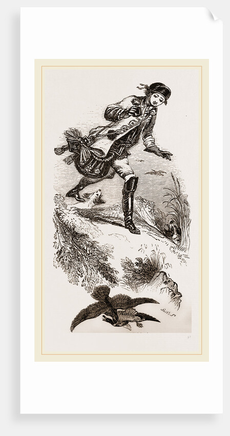 Hawking for Wild-Ducks by Anonymous