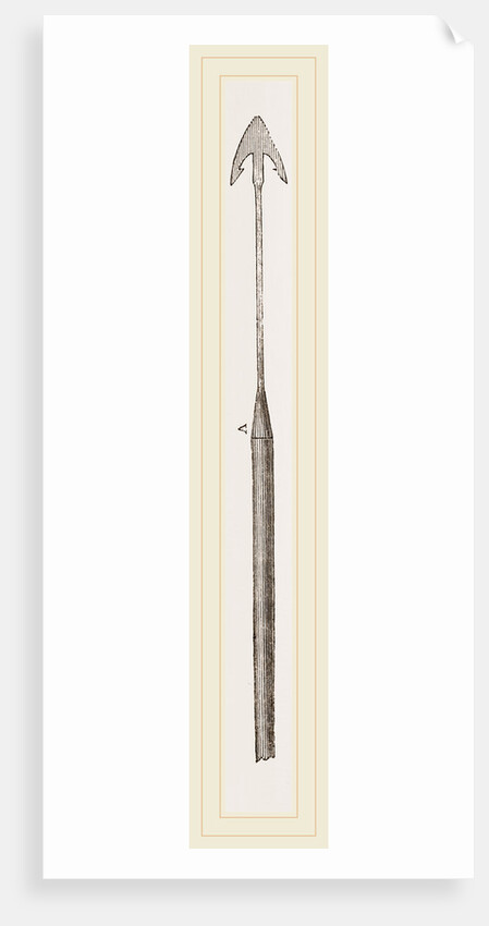 Whaling Harpoon by Anonymous