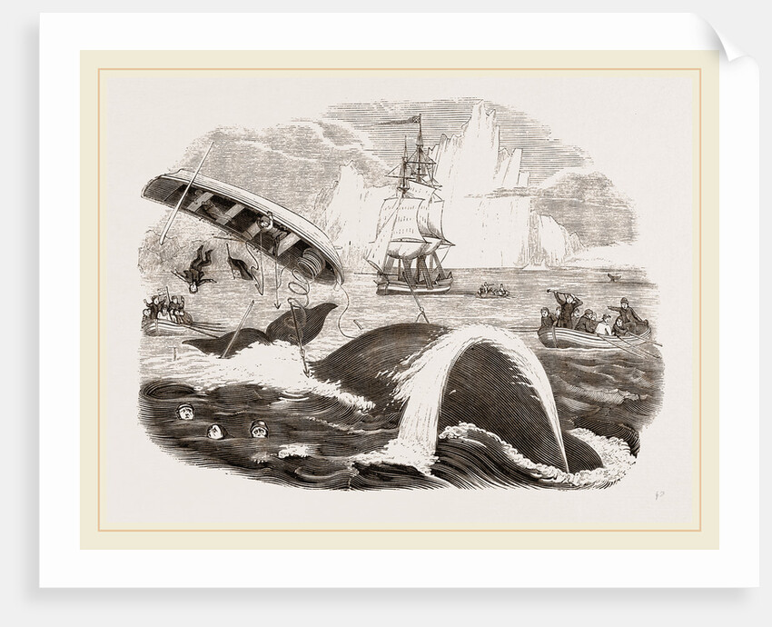 Dangers of the Whale Fishery by Anonymous