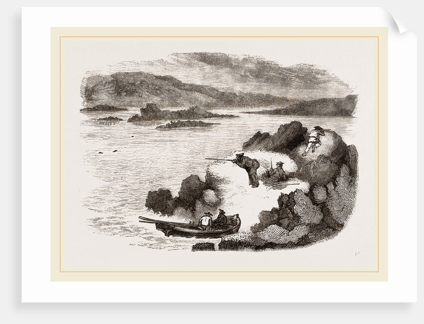 Seal-hunting in Scotland by Anonymous