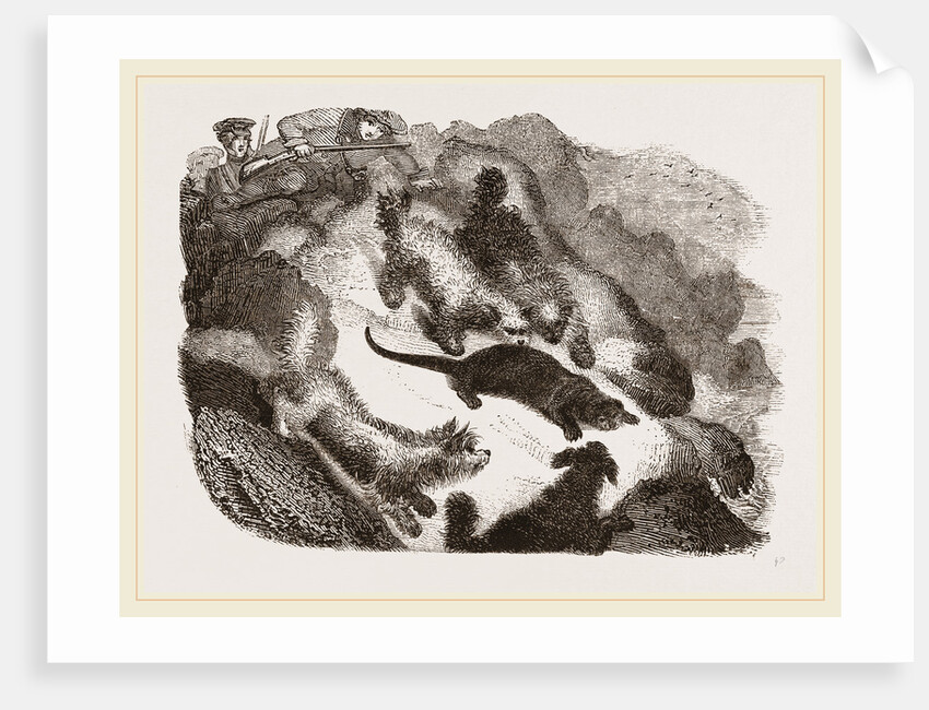 Otter-hunting by Anonymous