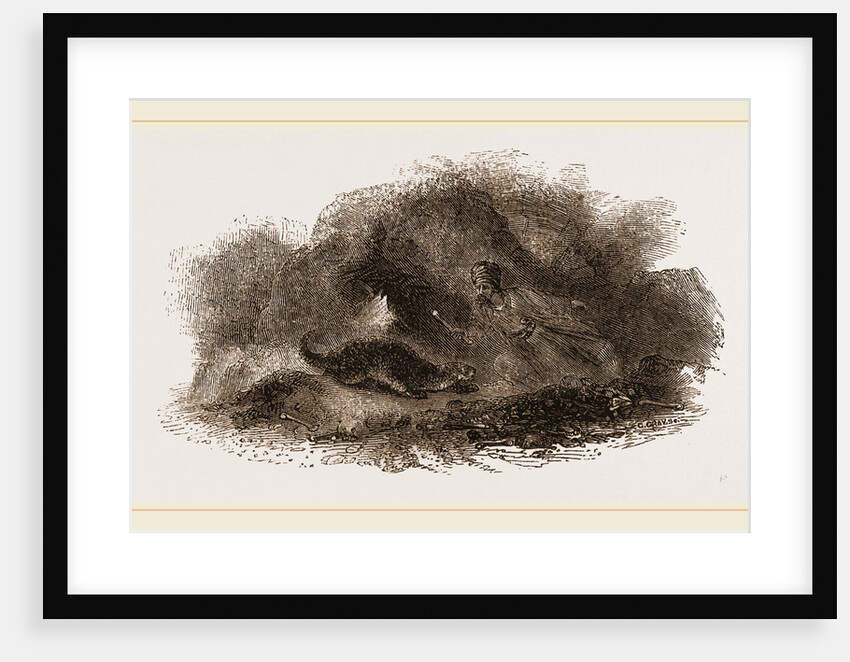 Otter in Cave by Anonymous