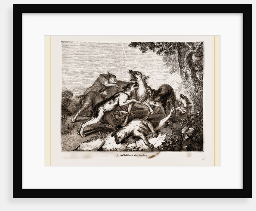 Wolf hunt, after Snyders by Anonymous