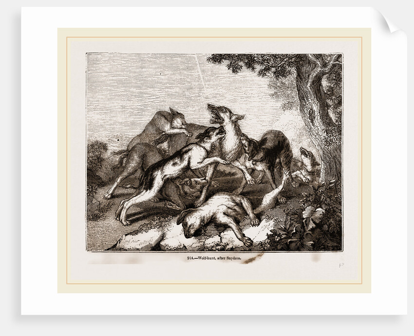 Wolf hunt, after Snyders by Anonymous