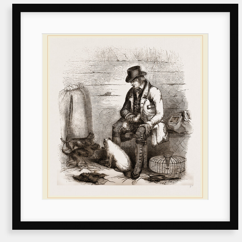 Rat-catcher and Terriers by Anonymous