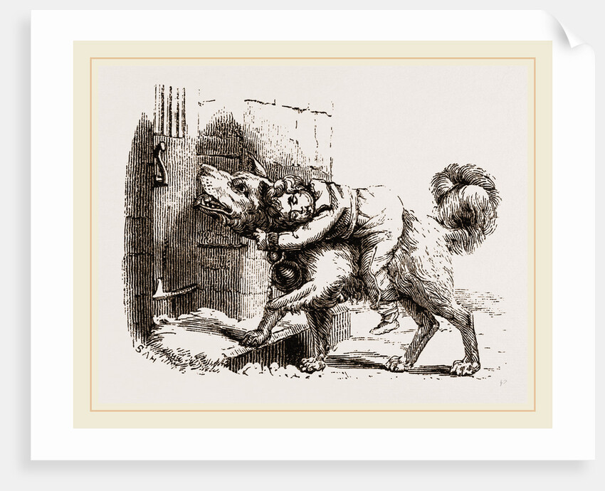 Dog of Mount St. Bernard by Anonymous