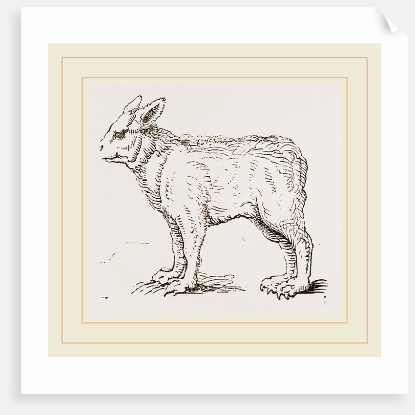 Pretended Ifybrid of Bear and Dog by Anonymous