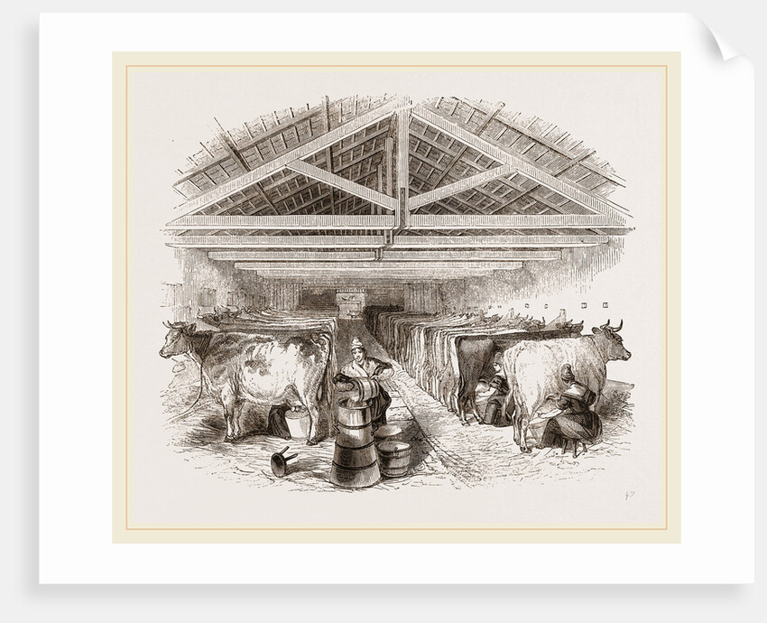 Milking-shed by Anonymous