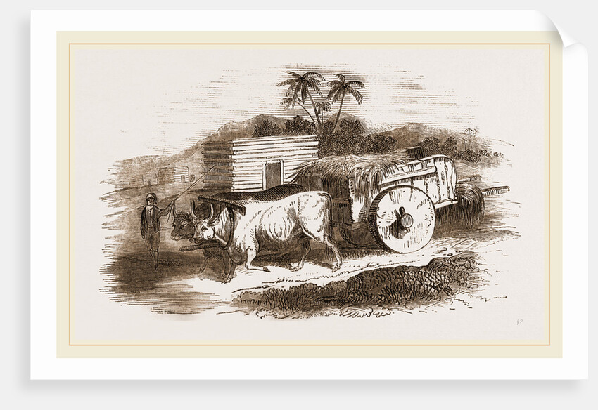 Syrian Cart by Anonymous