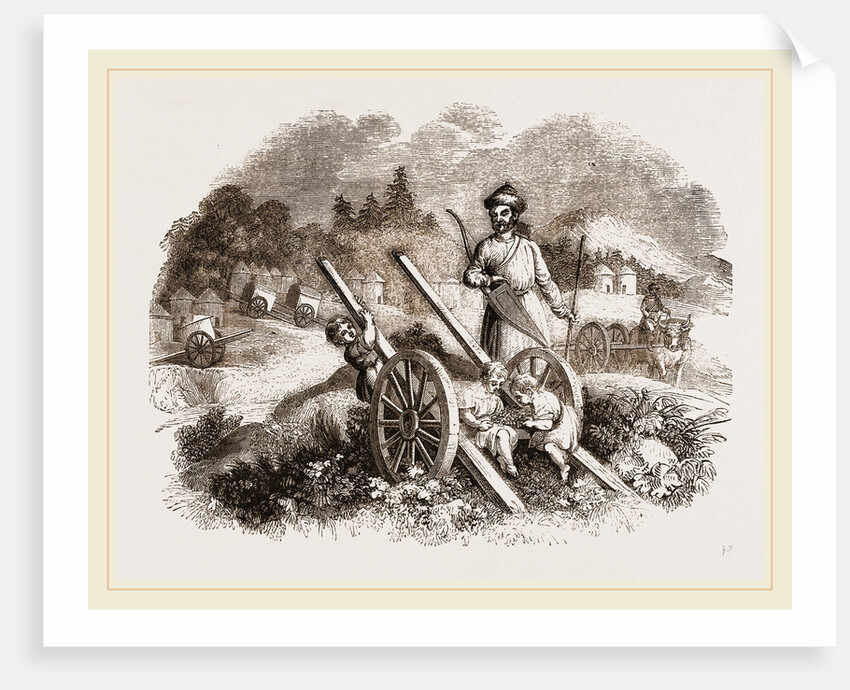 Bullock Carts of the Nimade Tartars by Anonymous