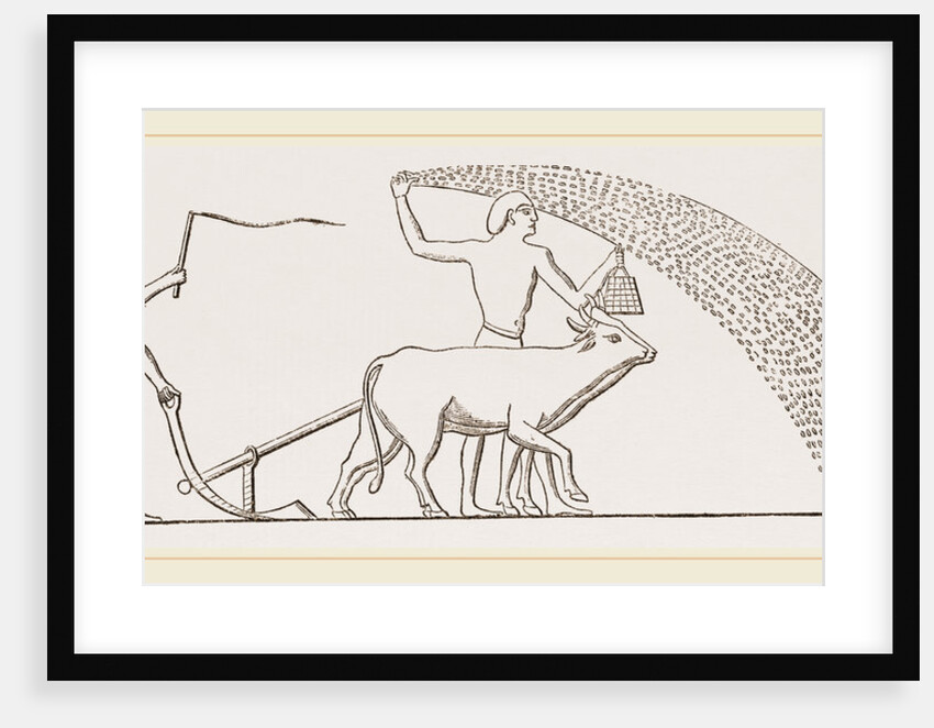 Ancient Egyptian Ploughing Egypt by Anonymous