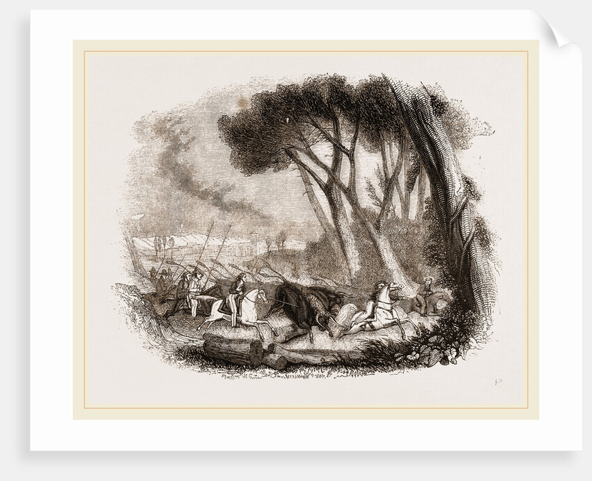 Wild Bull-hunting in the Alemtejo by Anonymous