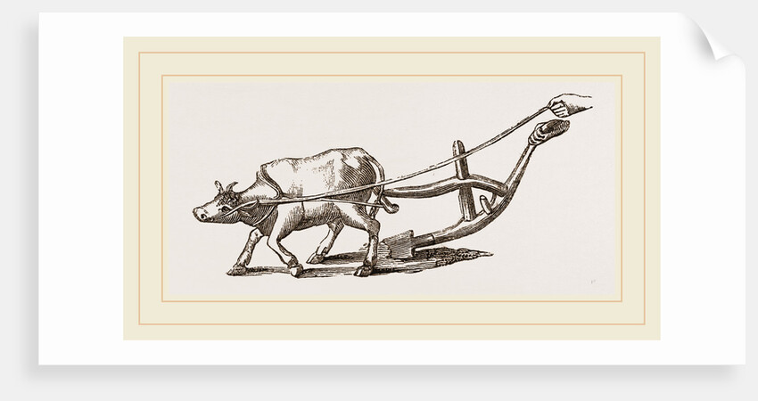 Ancient Plough by Anonymous