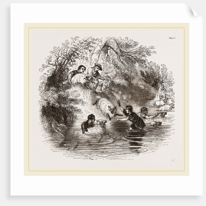 Sheep-washing by Anonymous