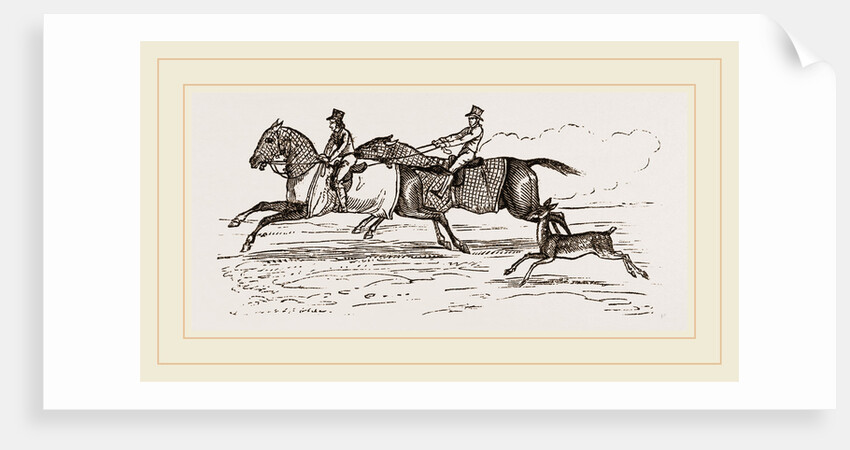 Fa1low-Deer and Horses by Anonymous