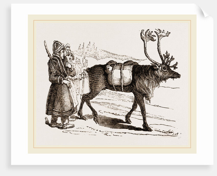 Rein-Deer and Laplanders by Anonymous