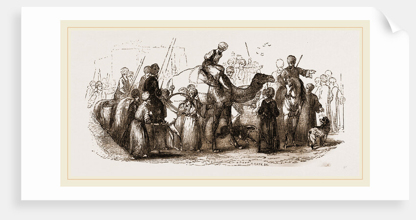 Malefactor paraded on Camel by Anonymous